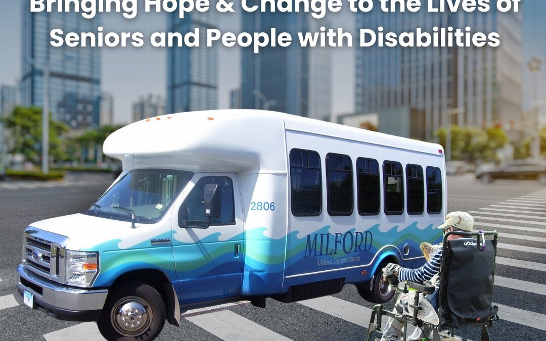 How Transport Service for Elderly Ensures Independence