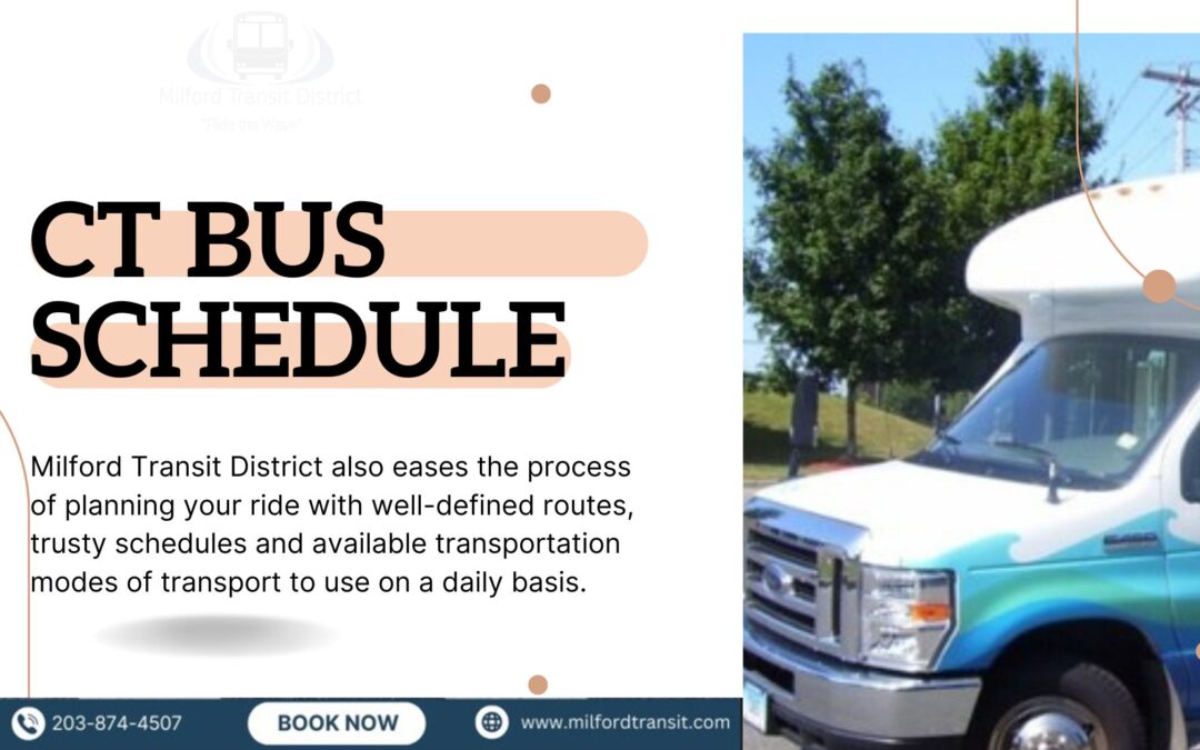 ct bus schedule