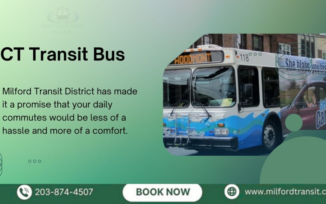 CT Transit Bus Tips: Best Practices for New Milford Riders