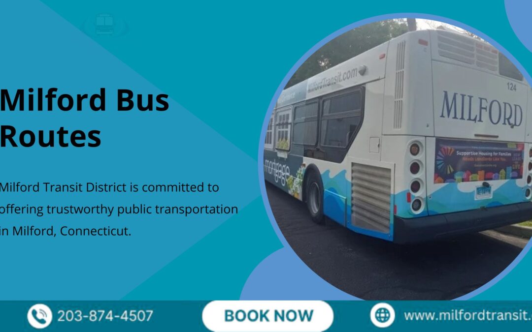 Plan Your Week With Milford Bus Routes and Timetable Info